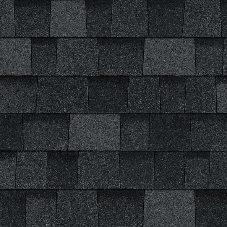 Close-up of black asphalt shingles on a roof.
